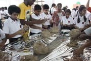 Silver Oaks Educational Society-Activity